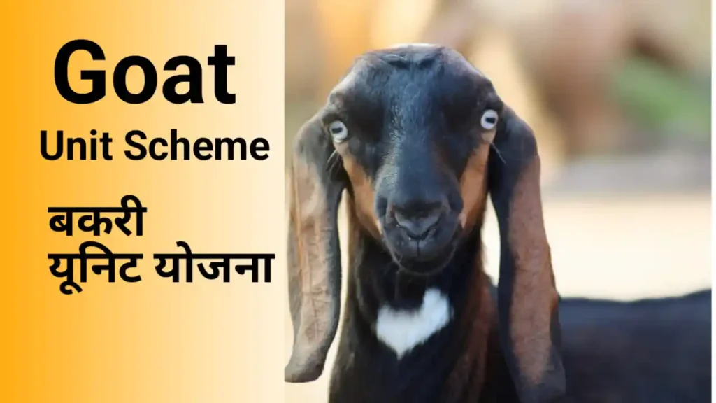 Goat Unit Scheme